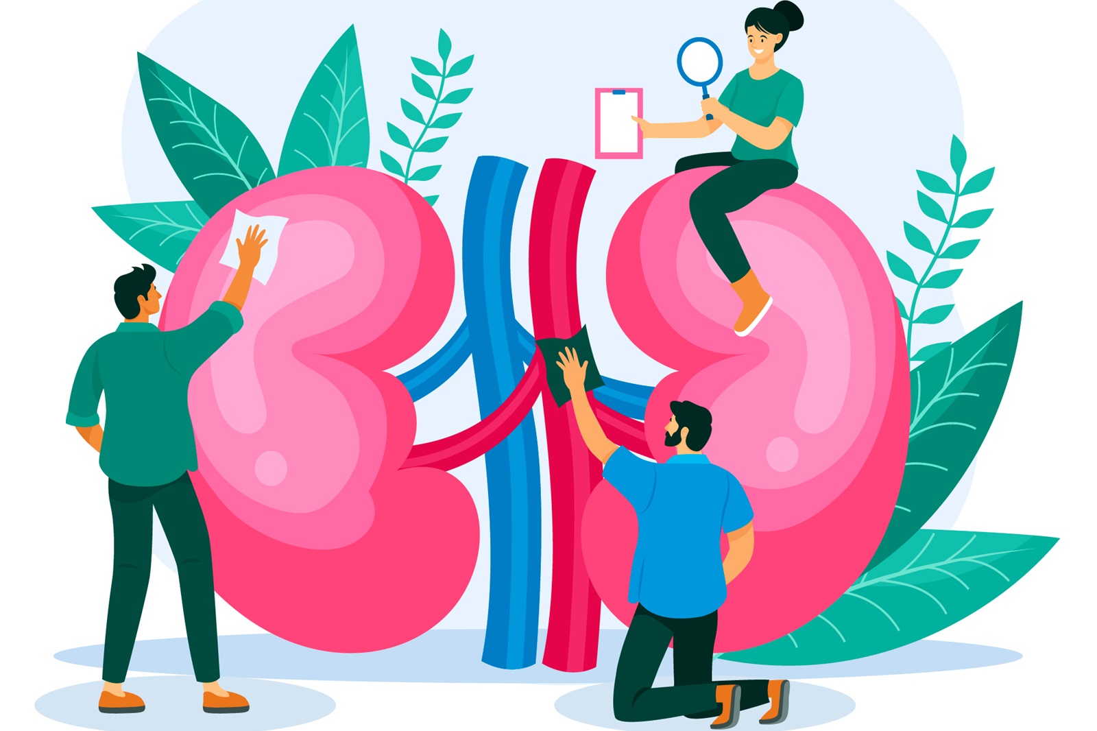 Manejo de la enfermedad renal crónica (ERC) en Atención Primaria de Salud (APS)